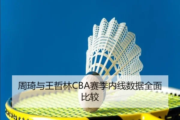 周琦与王哲林CBA赛季内线数据全面比较